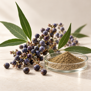 Chaste Tree Berry Extract